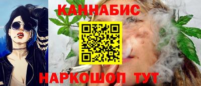 прущие крисы Будённовск