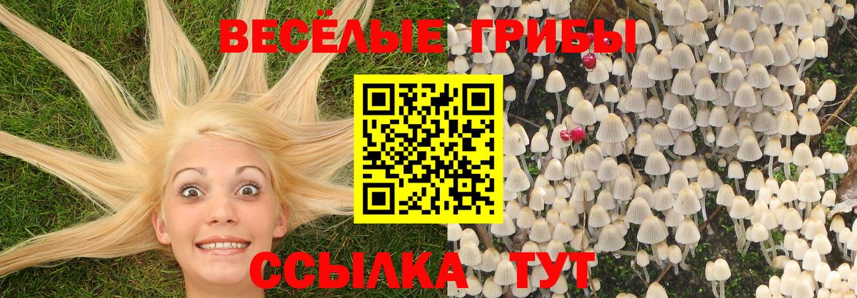 Галлюциногенные грибы MAGIC MUSHROOMS Полевской